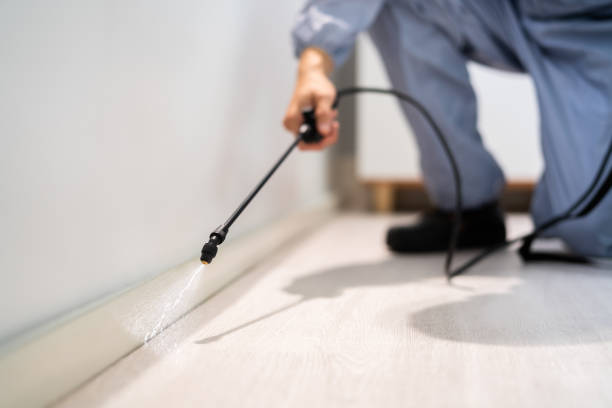 Licensed Fumigation Services service in Ohio County County, WV - Nex Pest Control